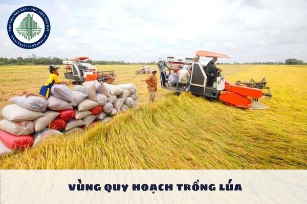 Chính sách hỗ trợ đầu tư cho doanh nghiệp áp dụng khoa học và công nghệ hiện đại cho vùng quy hoạch trồng lúa được sử dụng từ nguồn vốn hỗ trợ đầu tư nào?