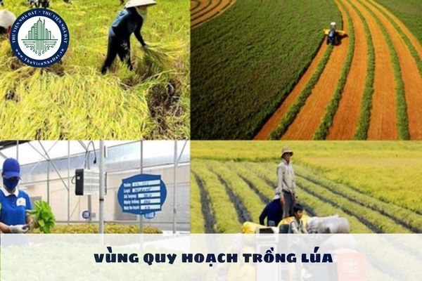 Chính sách hỗ trợ đầu tư cho hợp tác xã áp dụng khoa học và công nghệ hiện đại cho vùng quy hoạch trồng lúa?