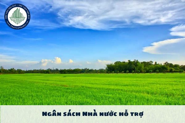 Ngân sách Nhà nước hỗ trợ lên đến 1,5 triệu đồng đối với đất chuyên trồng lúa đúng không?