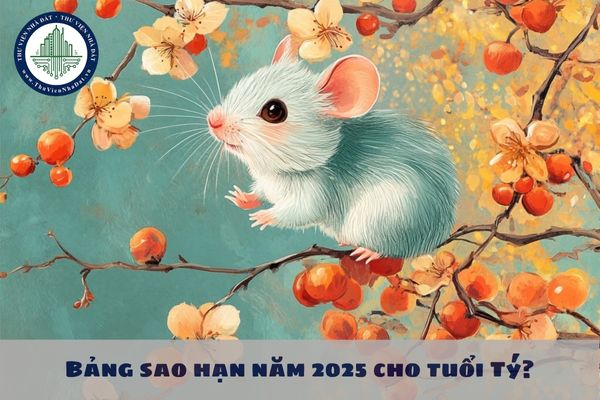 Bảng sao hạn năm 2025 cho tuổi Tý? Tuổi Tý năm 2025 sao gì?