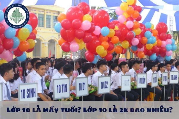 Lớp 10 là mấy tuổi? Lớp 10 là 2k bao nhiêu?