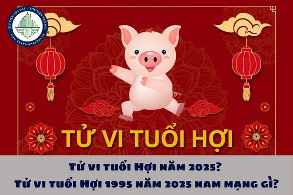 Tử vi tuổi Hợi năm 2025? Tử vi tuổi Hợi 1995 năm 2025 nam mạng gì?