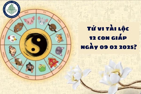 Tử vi tài lộc 12 con giáp ngày 09 02 2025? Xem tử vi ngày mới ngày 09 02 2025?