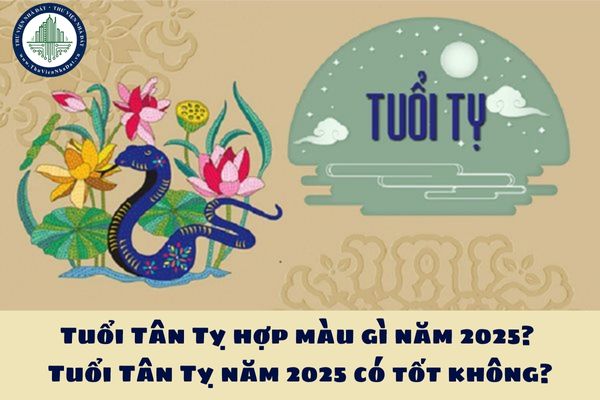 Tuổi Tân Tỵ hợp màu gì năm 2025? Tuổi Tân Tỵ năm 2025 có tốt không?