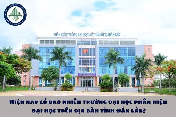 Hiện nay có bao nhiêu trường đại học phân hiệu đại học trên địa bàn tỉnh Đắk Lắk?