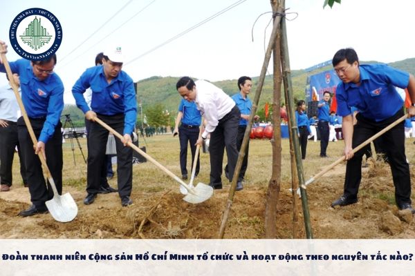 Đoàn thanh niên Cộng sản Hồ Chí Minh tổ chức và hoạt động theo nguyên tắc nào?