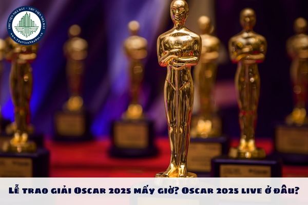 Lễ trao giải Oscar 2025 mấy giờ? Oscar 2025 live ở đâu?