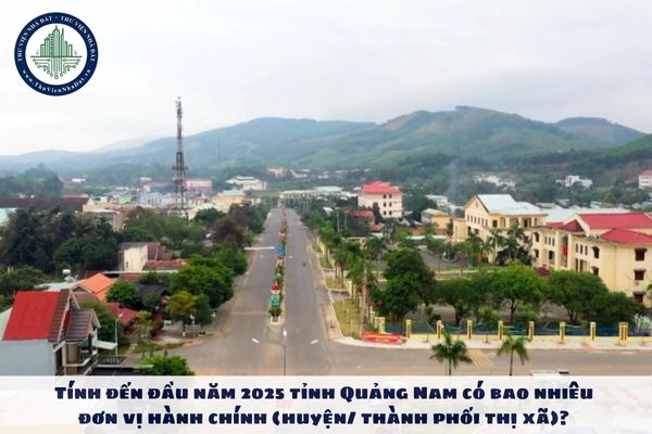 Tính đến đầu năm 2025 tỉnh Quảng Nam có bao nhiêu đơn vị hành chính (huyện/ thành phối thị xã)? Trong đó có bao nhiêu thành phố trực thuộc tỉnh?