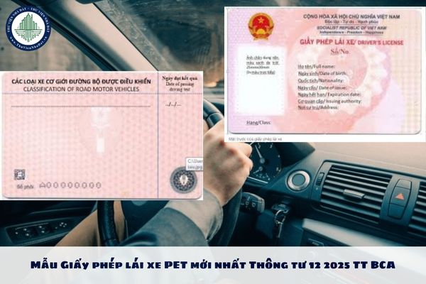 Mẫu Giấy phép lái xe PET mới nhất Thông tư 12 2025 TT BCA