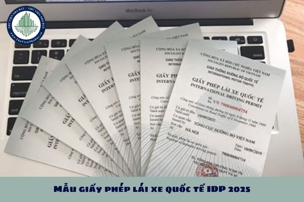 Mẫu giấy phép lái xe quốc tế IDP 2025