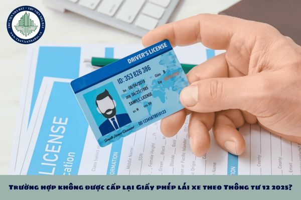 Trường hợp không được cấp lại Giấy phép lái xe theo Thông tư 12 2025?