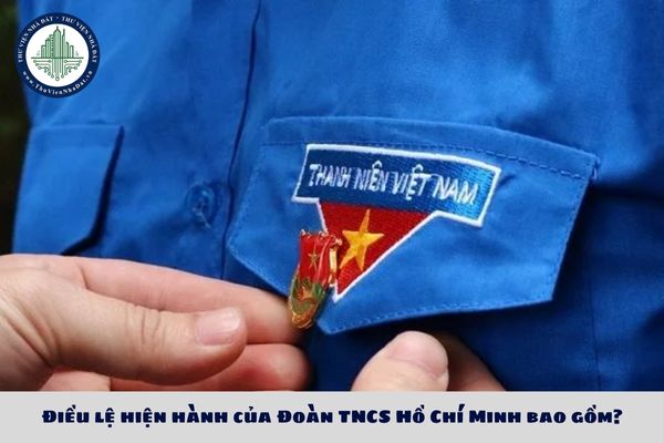 Điều lệ hiện hành của Đoàn TNCS Hồ Chí Minh bao gồm?