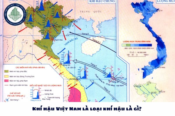 Khí hậu Việt Nam là loại khí hậu là gì? Việt Nam thuộc đới khí hậu nào?