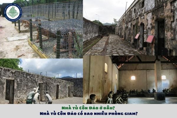 Nhà tù Côn Đảo ở đâu? Nhà tù Côn Đảo có bao nhiêu phòng giam?