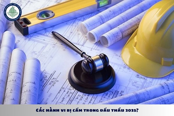 Các hành vi bị cấm trong đấu thầu 2025?