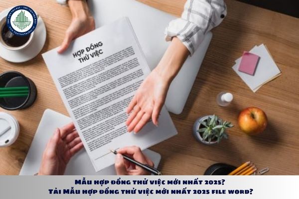 Mẫu hợp đồng thử việc mới nhất 2025? Tải Mẫu hợp đồng thử việc mới nhất 2025 file word?