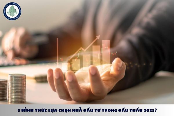 3 Hình thức lựa chọn nhà đầu tư trong đấu thầu 2025?