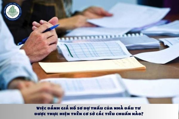 thuviennhadat.vn