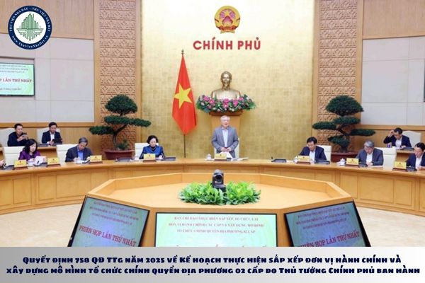 thuviennhadat.vn