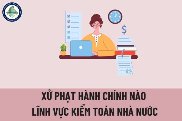 Có các biện pháp xử phạt chính nào đối với hành vi vi phạm hành chính nào trong lĩnh vực kiểm toán nhà nước?