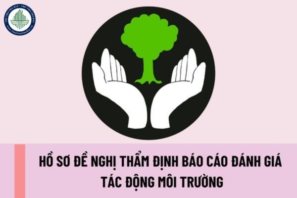 Hồ sơ đề nghị thẩm định báo cáo đánh giá tác động môi trường bao gồm những gì? Thời hạn thẩm định báo cáo đánh giá tác động môi trường là bao nhiêu?