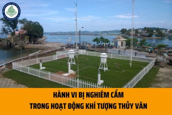 14 hành vi bị nghiêm cấm trong hoạt động khí tượng thủy văn theo quy định hiện nay là những hành vi nào?