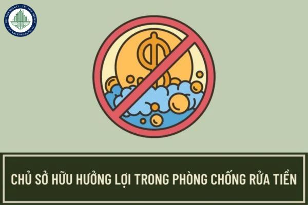Việc xác định chủ sở hữu hưởng lợi trong phòng chống rửa tiền dựa trên những tiêu chí nào?