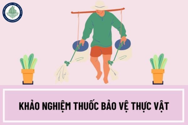 Tổ chức thực hiện khảo nghiệm thuốc bảo vệ thực vật phải bảo đảm các điều kiện nào? Thực hiện khảo nghiệm thuốc bảo vệ thực vật như thế nào?