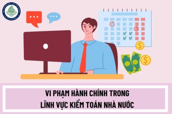 Quy định của pháp luật đối với vi phạm hành chính trong lĩnh vực kiểm toán nhà nước được áp dụng như thế nào?
