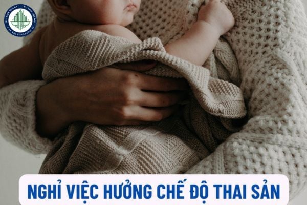 Mẫu Đơn xin nghỉ việc hưởng chế độ thai sản như thế nào? Lao động nam đang đóng BHXH khi vợ sinh con được nghỉ việc hưởng chế độ thai sản như thế nào?