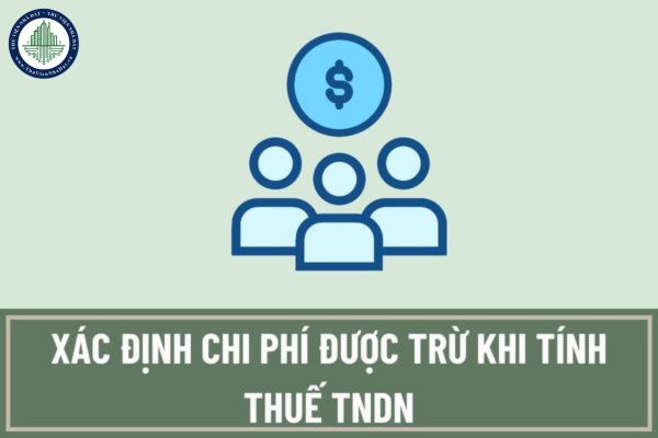 thuviennhadat.vn