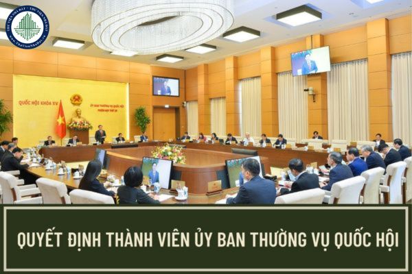 Trình tự quyết định số thành viên Ủy ban Thường vụ Quốc hội, bầu Chủ tịch Quốc hội, Ủy viên Ủy ban Thường vụ Quốc hội được quy định như thế nào?