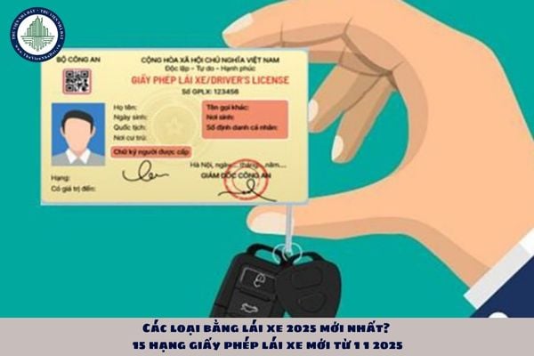 Các loại bằng lái xe 2025 mới nhất? 15 hạng giấy phép lái xe mới từ 1 1 2025