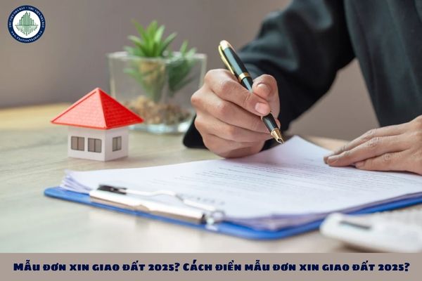 Mẫu đơn xin giao đất 2025? Cách điền mẫu đơn xin giao đất 2025?