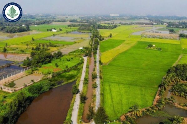 Hạn mức giao đất nông nghiệp đối với hộ gia đình cá nhân tại TP.HCM áp dụng từ 22 10 theo Quyết định 87/2024?