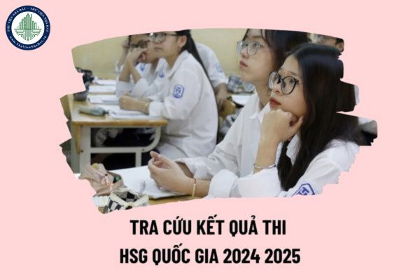 Tra cứu kết quả thi HSG quốc gia 2024 2025 ở đâu? Tra cứu điểm thi HSG quốc gia 2024 2025 mới nhất? 