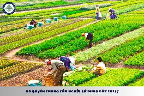 08 quyền chung của người sử dụng đất 2025? 