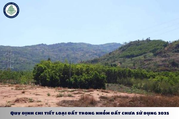 Quy định chi tiết loại đất trong nhóm đất chưa sử dụng 2025 theo Nghị định 102?