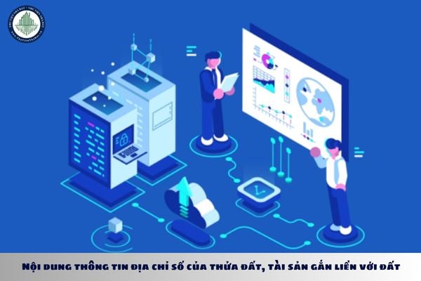 Nội dung thông tin địa chỉ số của thửa đất, tài sản gắn liền với đất gồm những gì theo Nghị định 101?