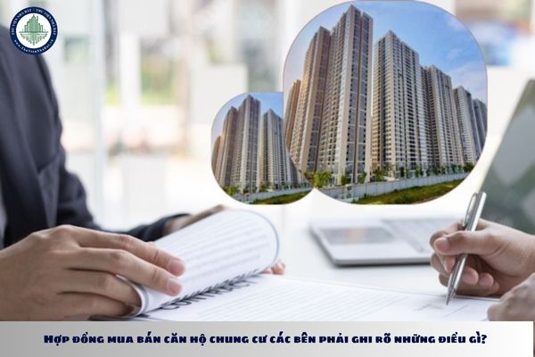Hợp đồng mua bán căn hộ chung cư các bên phải ghi rõ những điều gì?