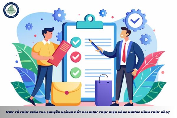 Việc tổ chức kiểm tra chuyên ngành đất đai được thực hiện bằng những hình thức nào?