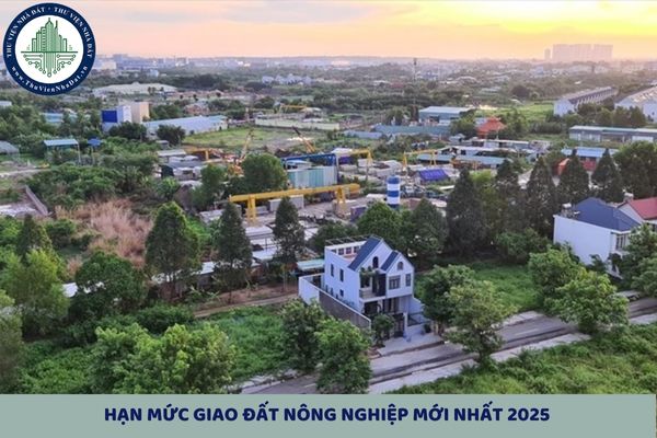 Hạn mức giao đất nông nghiệp mới nhất 2025 được quy định thế nào?