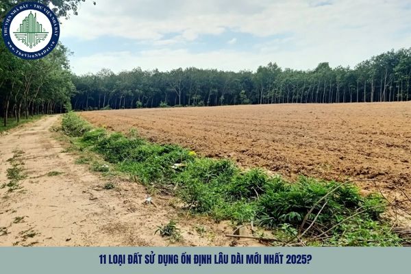 11 loại đất sử dụng ổn định lâu dài mới nhất 2025?