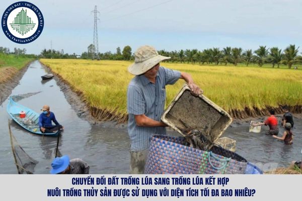 Chuyển đổi đất trồng lúa sang trồng lúa kết hợp nuôi trồng thủy sản được sử dụng với diện tích tối đa bao nhiêu?