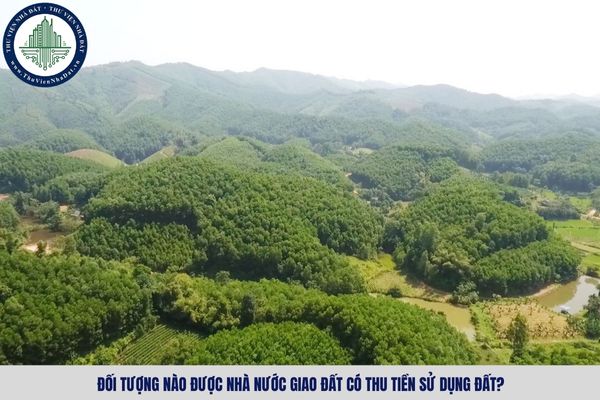 Đối tượng nào được Nhà nước giao đất có thu tiền sử dụng đất?