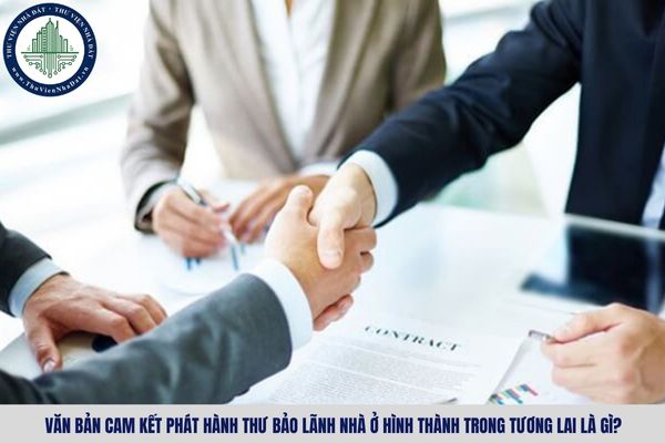 Văn bản cam kết phát hành thư bảo lãnh nhà ở hình thành trong tương lai là gì?
