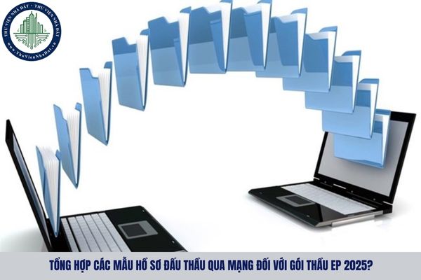 Tổng hợp các mẫu hồ sơ đấu thầu qua mạng đối với gói thầu EP 2025?