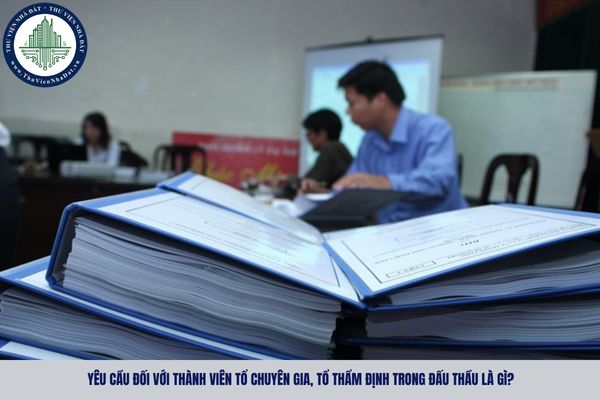 Yêu cầu đối với thành viên tổ chuyên gia, tổ thẩm định trong đấu thầu là gì?
