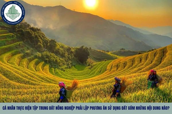 Cá nhân thực hiện tập trung đất nông nghiệp phải lập phương án sử dụng đất gồm những nội dung nào?