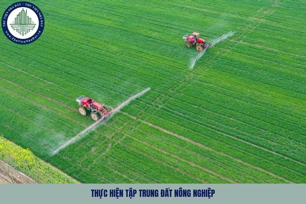 Việc thực hiện tập trung đất nông nghiệp được quy định như thế nào?
